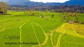  Presentation with rice terraces - Cool new presentation theme with aerial-from-rice-terraces backdrop and a gold colored foreground