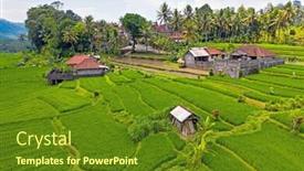  Presentation with rice terraces - PPT layouts with aerial-from-rice-terraces background and a tawny brown colored foreground
