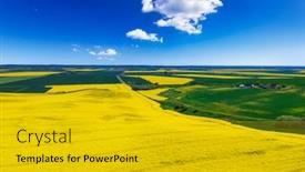  Presentation with rapeseed - Amazing slide set having aerial-landscape-of-the-yellow backdrop and a gold colored foreground