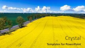  Presentation with blue yellow - Beautiful PPT theme featuring aerial-landscape-of-the-yellow backdrop and a light gray colored foreground