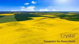  Presentation with rapeseed - Slide set with aerial-landscape-of-the-yellow background and a gold colored foreground