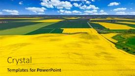  Presentation with rapeseed - Cool new slides with aerial-landscape-of-the-yellow backdrop and a light gray colored foreground