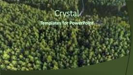  Presentation with pine forest - PPT theme enhanced with aerial-panoramic-view-of-evergreen background and a tawny brown colored foreground