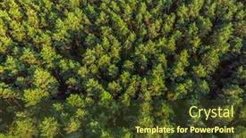  Presentation with pine forest - Amazing theme having aerial-panoramic-view-of-evergreen backdrop and a tawny brown colored foreground
