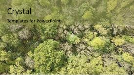  Presentation with forest patches in africa - Slides having aerial photo above deciduous forest background and a gold colored foreground