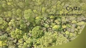  Presentation with forest - PPT layouts having aerial photo above deciduous forest background and a yellow colored foreground