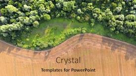  Presentation with fly agaric in forest - PPT layouts enhanced with aerial photo flying over yellow grain wheat field ready for harvest bordering green forest agricultural landscape background and a coral colored foreground