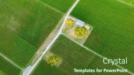  Presentation with vineyard - PPT layouts having aerial-photo-of-a-vineyard background and a tawny brown colored foreground