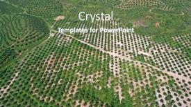  Presentation with rubber tree - Audience pleasing PPT theme consisting of aerial-photo-of-palm-oil backdrop and a tawny brown colored foreground