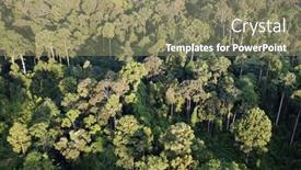  Presentation with rainforest - Beautiful PPT theme featuring aerial-photo-rainforest-in-borneo backdrop and a coral colored foreground
