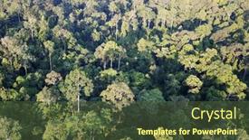  Presentation with rainforest - Slides with aerial-photo-rainforest-in-borneo background and a tawny brown colored foreground