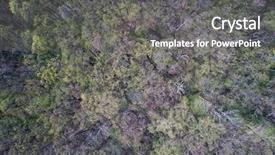  Presentation with winter forest - Slide set enhanced with aerial shot over spring forest waking up from winter background and a gray colored foreground