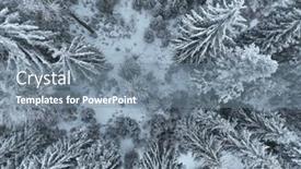  Presentation with pine trees - 