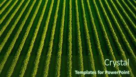  Presentation with earth land - PPT layouts enhanced with aerial-top-view-of-row background and a tawny brown colored foreground