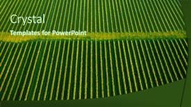  Presentation with earth land - Audience pleasing PPT theme consisting of aerial-top-view-of-row backdrop and a forest green colored foreground