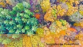  Presentation with fall - Colorful slide deck enhanced with aerial-topshot-from-trees backdrop and a gold colored foreground