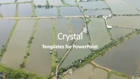  Presentation with fish pond - PPT layouts enhanced with aerial view fish hatchery pond background and a  colored foreground