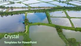  Presentation with fish pond - Beautiful theme featuring aerial view fish hatchery pond backdrop and a tawny brown colored foreground