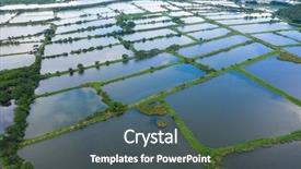  Presentation with fish pond - Theme with aerial view fish hatchery pond background and a dark gray colored foreground
