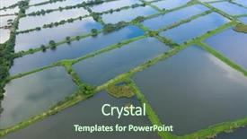  Presentation with hatchery - Slides having aerial view fish hatchery pond background and a tawny brown colored foreground