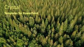  Presentation with france - Theme consisting of aerial-view-of-a-coniferous background and a tawny brown colored foreground