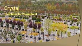  Presentation with yellow green - Presentation theme consisting of aerial-view-of-a-tree background and a tawny brown colored foreground