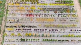  Presentation with yellow green - Presentation with aerial-view-of-a-tree background and a coral colored foreground