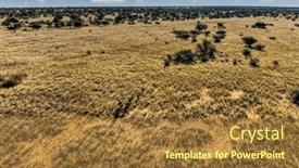  Presentation with savannah - Presentation design featuring aerial-view-of-african-savannah background and a tawny brown colored foreground