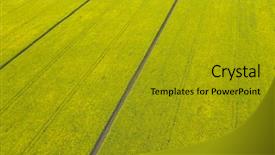  Presentation with rapeseed - Cool new slide deck with aerial view of cultivated rapeseed backdrop and a gold colored foreground