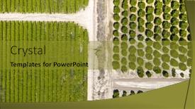  Presentation with olive - Slide deck with aerial-view-of-farm-lands background and a gold colored foreground