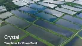  Presentation with hatchery - Audience pleasing PPT theme consisting of aerial view of fish hatchery backdrop and a dark gray colored foreground