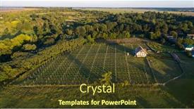  Presentation with fruit trees - Theme with aerial-view-of-flowering-rapeseed background and a tawny brown colored foreground