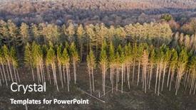  Presentation with management - Colorful PPT theme enhanced with aerial-view-of-forest-management backdrop and a dark gray colored foreground