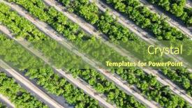  Presentation with vegetable farm - Cool new presentation with aerial-view-of-green-farm backdrop and a tawny brown colored foreground