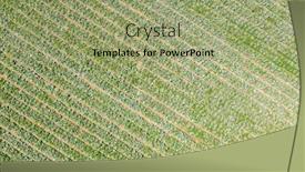  Presentation with vegetable farm - PPT layouts featuring aerial-view-of-green-farm background and a mint green colored foreground