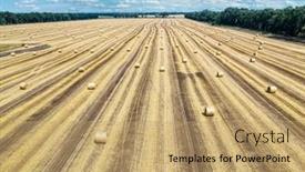  Presentation with sky blue - Beautiful PPT theme featuring aerial-view-of-harvested-wheat backdrop and a  colored foreground