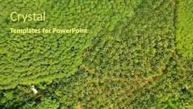  Presentation with oil palm tree - Presentation theme consisting of aerial-view-of-oil-palm background and a tawny brown colored foreground