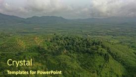  Presentation with oil palm tree - Beautiful slide set featuring aerial-view-of-oil-palm backdrop and a tawny brown colored foreground