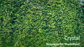  Presentation with abstract green forest - PPT theme enhanced with aerial view of spacious green background and a forest green colored foreground