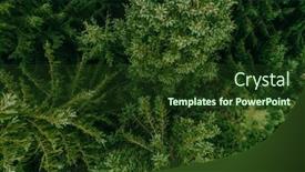  Presentation with summer trees - Presentation theme with aerial-view-of-summer-green background and a tawny brown colored foreground