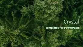  Presentation with summer trees - PPT theme featuring aerial-view-of-summer-green background and a tawny brown colored foreground