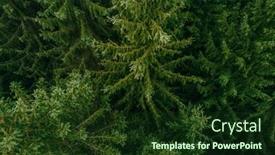  Presentation with summer trees - Theme consisting of aerial-view-of-summer-green background and a tawny brown colored foreground