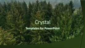  Presentation with summer trees - Presentation design having aerial-view-of-summer-green background and a tawny brown colored foreground