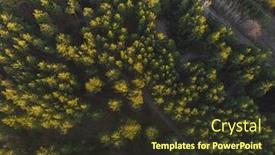  Presentation with forest - Amazing PPT theme having aerial-view-of-summer-siberian backdrop and a tawny brown colored foreground