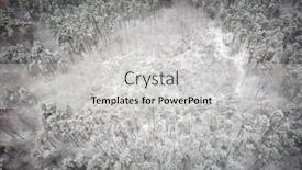  Presentation with pine forest - Cool new slides with aerial-view-of-the-pine backdrop and a light gray colored foreground