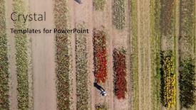  Presentation with tulip - Slide set enhanced with aerial-view-of-tulip-flower background and a coral colored foreground