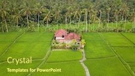  Presentation with bali - Beautiful slide set featuring ubud countryside in bali backdrop and a tawny brown colored foreground