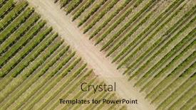  Presentation with southwest - PPT layouts featuring aerial-view-of-vineyards background and a  colored foreground