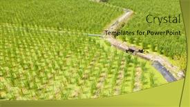  Presentation with water bamboo - Audience pleasing presentation design consisting of aerial-view-of-water-bamboo backdrop and a gold colored foreground