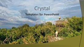  Presentation with chicks - PPT theme featuring aerial-view-of-white-stork background and a light blue colored foreground